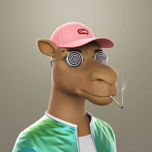 3dcamels 1