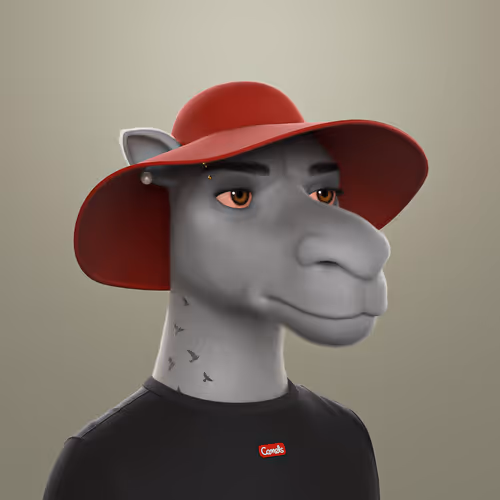 3dcamels 1