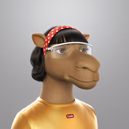 3dcamels 1