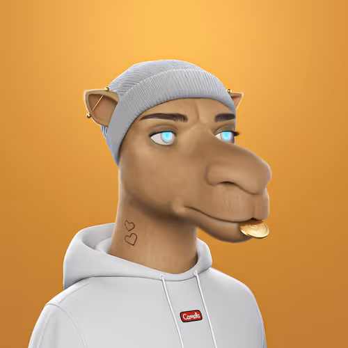 3dcamels 1