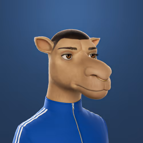 3dcamels 1