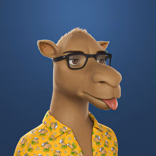 3dcamels 1