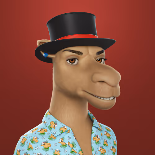 3dcamels 1