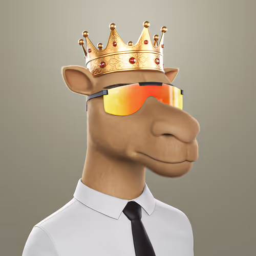 3dcamels 1