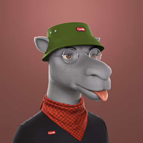 3dcamels 1