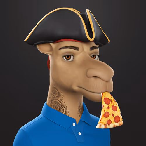3dcamels 1