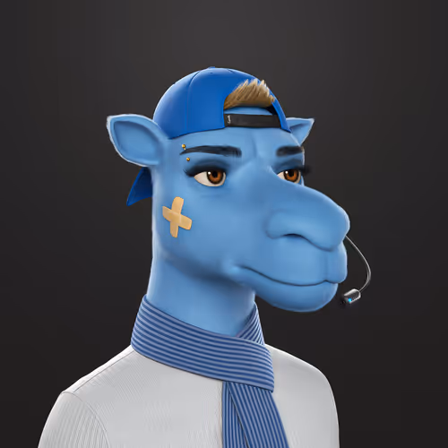 3dcamels 1