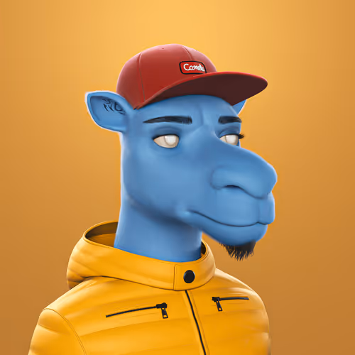3dcamels 1