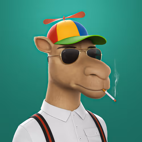 3dcamels 1
