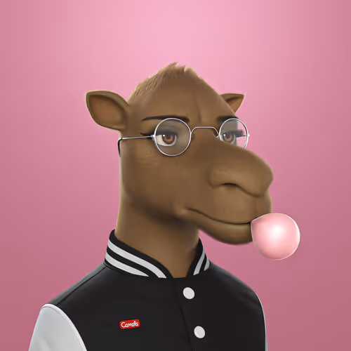 3dcamels 1