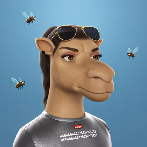 3dcamels 1