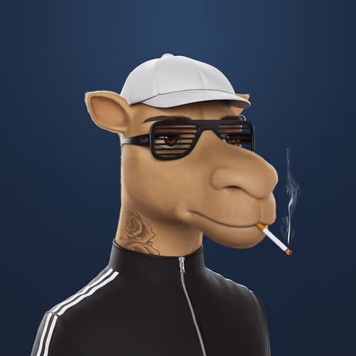 3dcamels 1