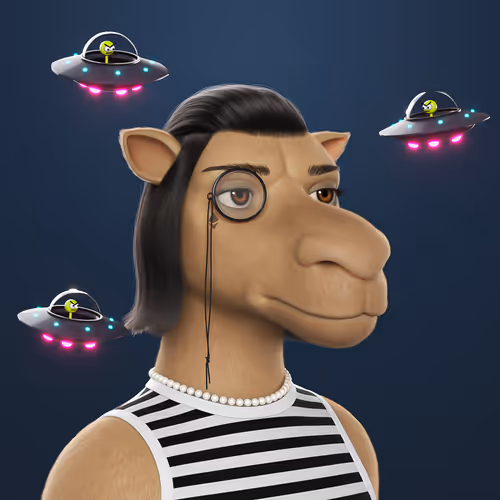 3dcamels 1