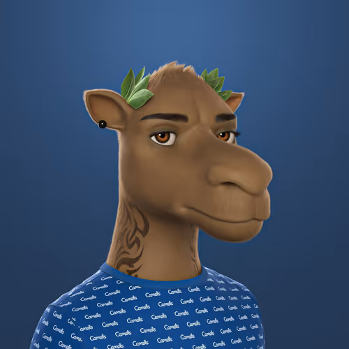 3dcamels 1