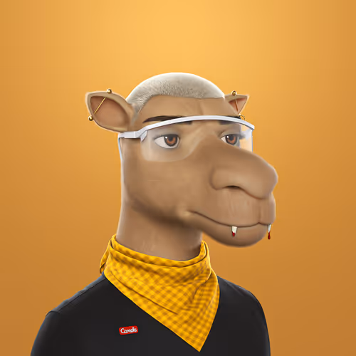 3dcamels 1