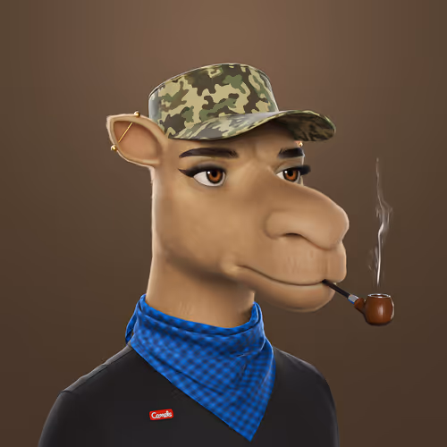 3dcamels 1