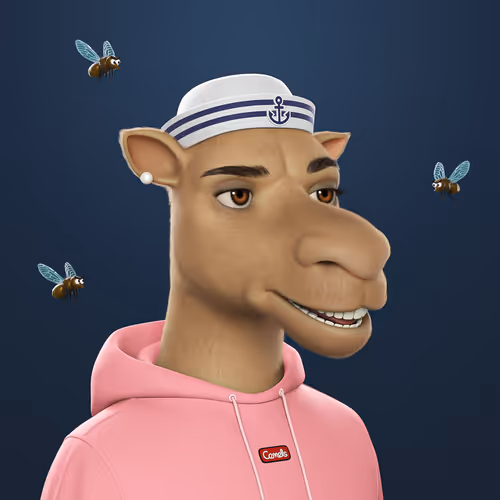 3dcamels 1