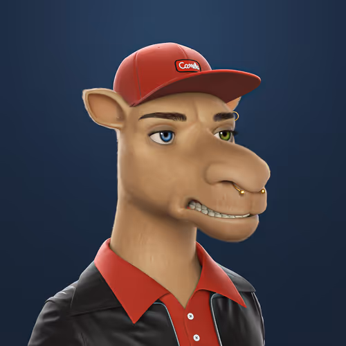 3dcamels 1