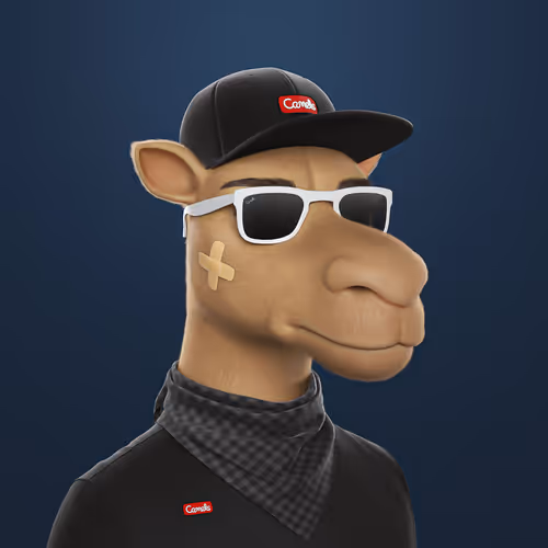 3dcamels 1