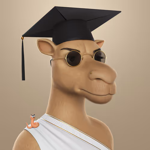 3dcamels 1