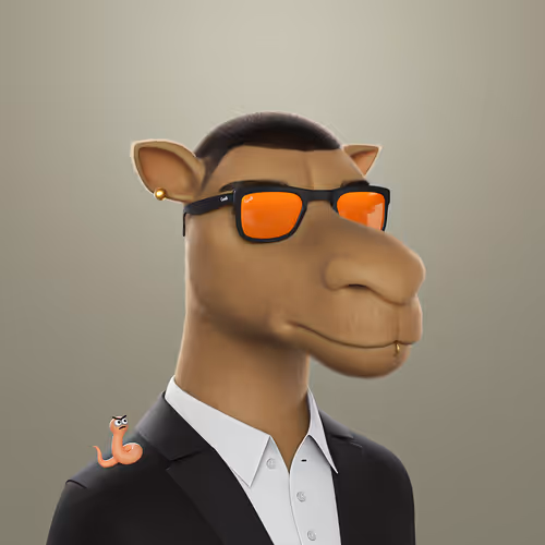 3dcamels 1