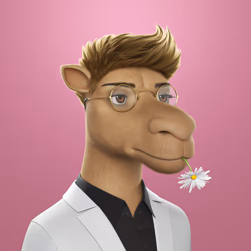 3dcamels 1