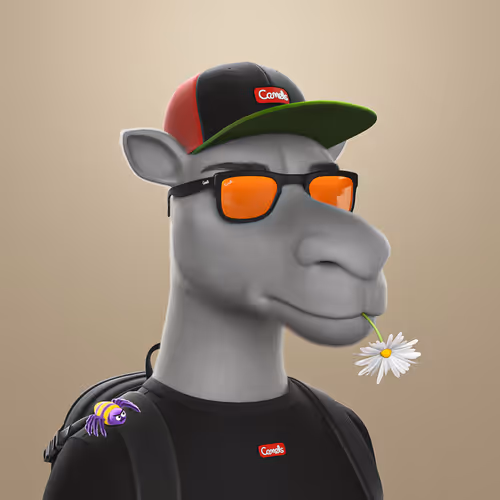 3dcamels 1