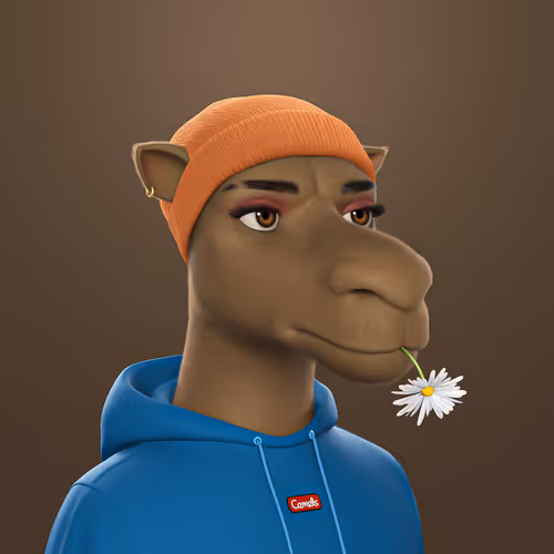 3dcamels 1