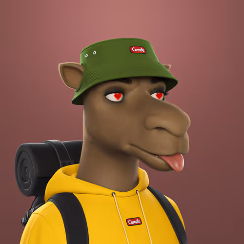 3dcamels 1