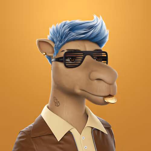 3dcamels 1