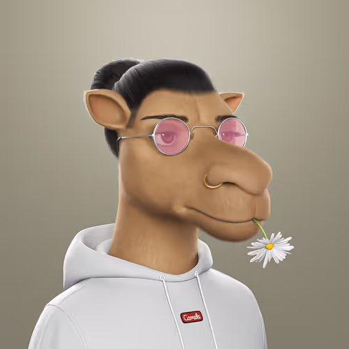 3dcamels 1