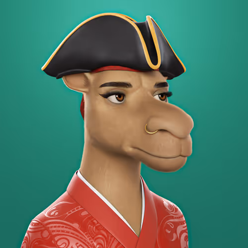 3dcamels 1