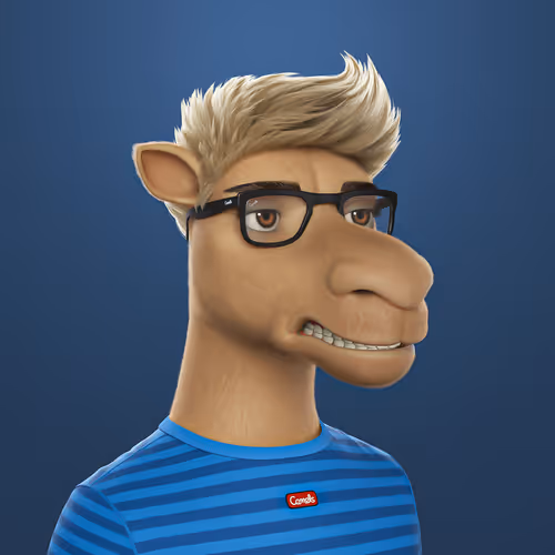3dcamels 1