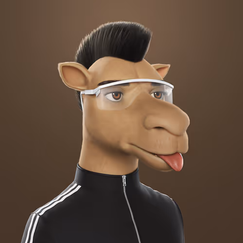 3dcamels 1