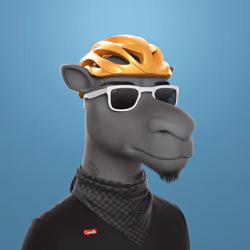 3dcamels 1