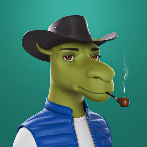 3dcamels 1