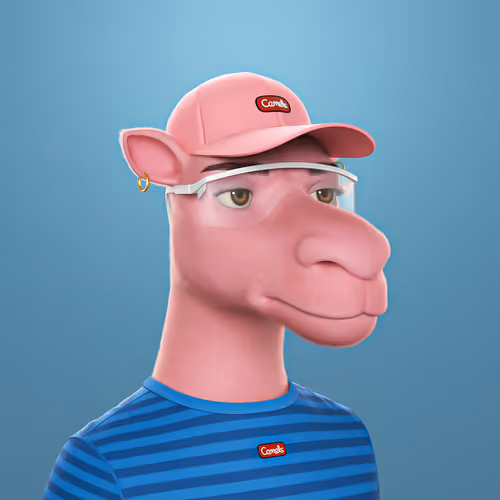 3dcamels 1