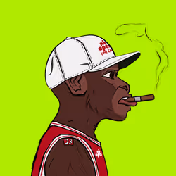 NBAPES #555