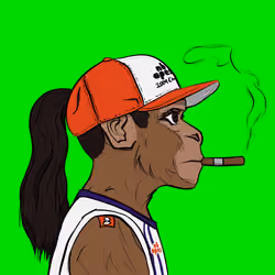 NBAPES #1543