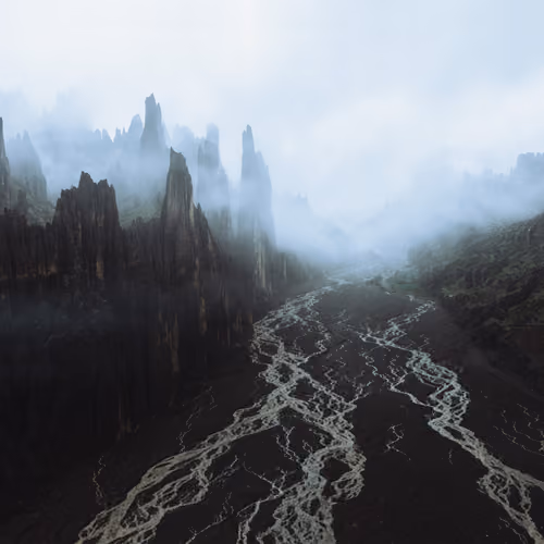 Animas