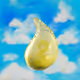 737