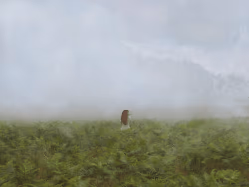 A Woman In The Mist By Ayla El Moussa