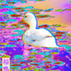 Art 1/1