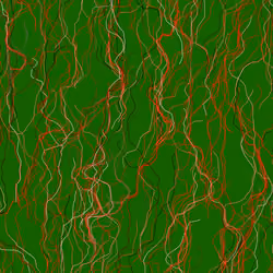 Lucid Paths #970