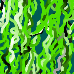 Lucid Paths #331