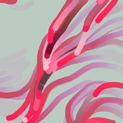 Lucid Paths #205