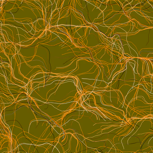 Lucid Paths