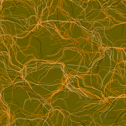Lucid Paths #908