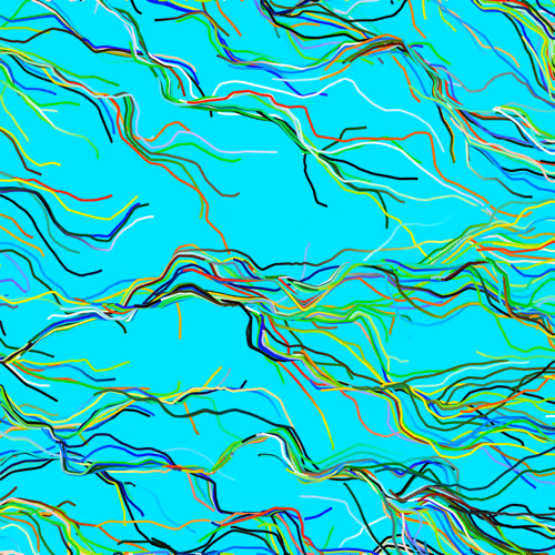 Lucid Paths