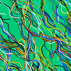 Lucid Paths #797